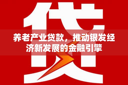 大溪养老产业贷款，推动银发经济新发展的金融引擎