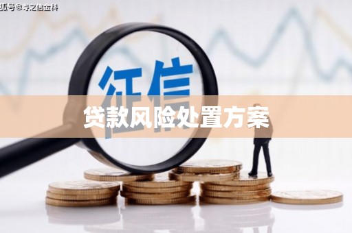 大溪贷款风险处置方案