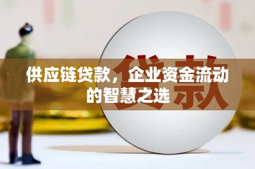 大溪供应链贷款，企业资金流动的智慧之选