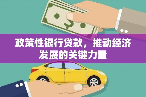 大溪政策性银行贷款，推动经济发展的关键力量