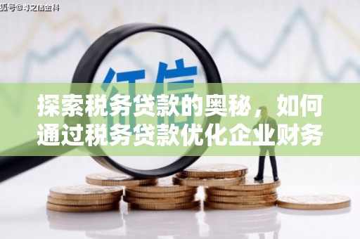 大溪探索税务贷款的奥秘，如何通过税务贷款优化企业财务