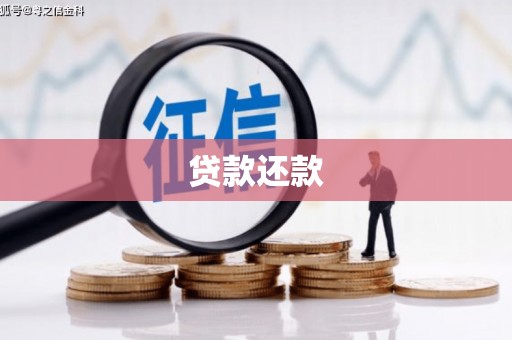 大溪贷款还款