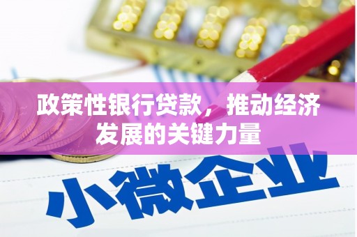 大溪政策性银行贷款，推动经济发展的关键力量