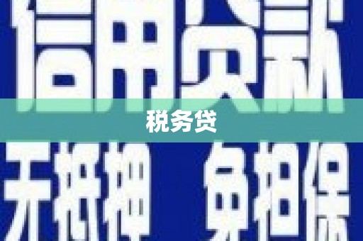 大溪税务贷