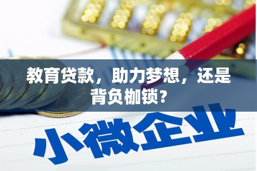 大溪教育贷款，助力梦想，还是背负枷锁？