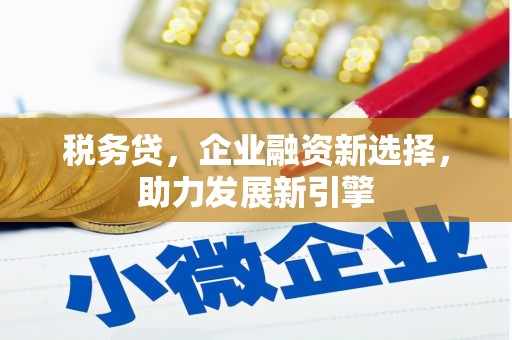 大溪税务贷，企业融资新选择，助力发展新引擎