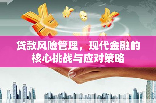 大溪贷款风险管理，现代金融的核心挑战与应对策略