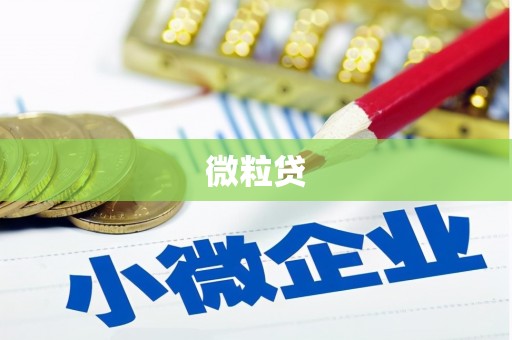 大溪微粒贷