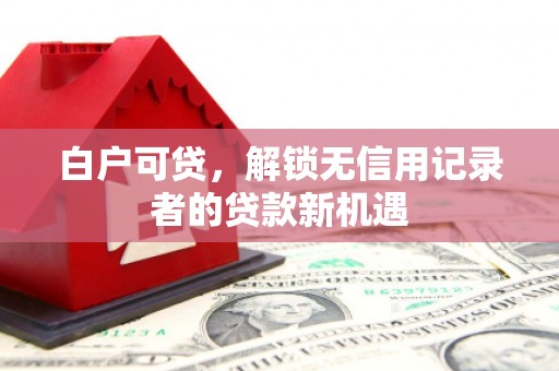 大溪白户可贷，解锁无信用记录者的贷款新机遇