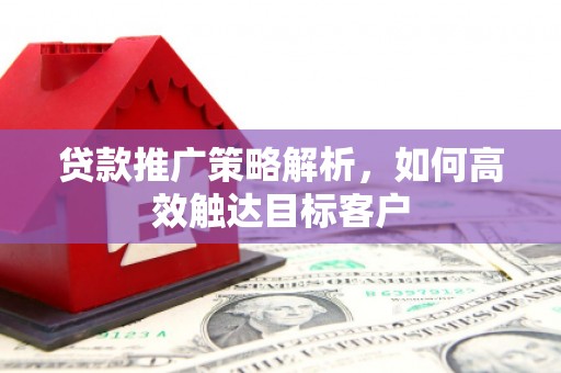 大溪贷款推广策略解析，如何高效触达目标客户