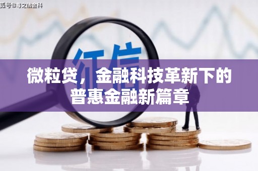 大溪微粒贷，金融科技革新下的普惠金融新篇章