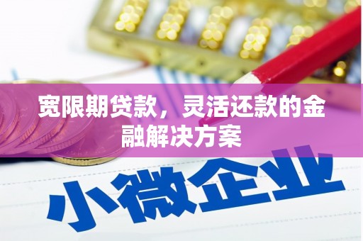 大溪宽限期贷款，灵活还款的金融解决方案