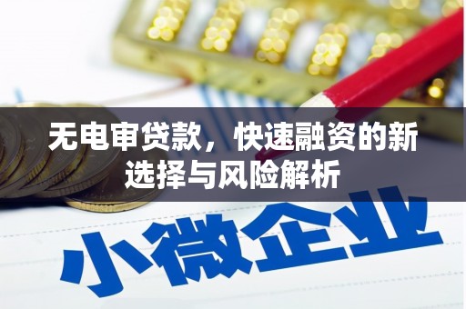 大溪无电审贷款，快速融资的新选择与风险解析