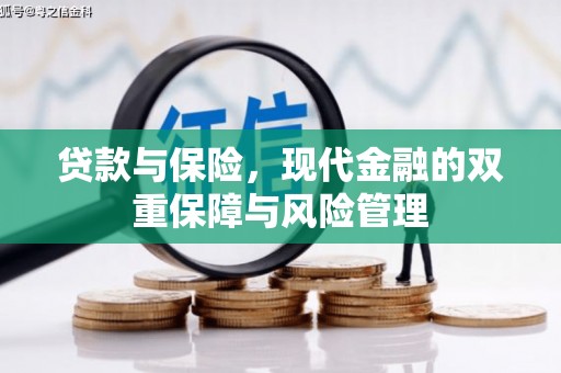大溪贷款与保险，现代金融的双重保障与风险管理