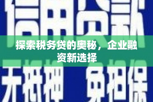 大溪探索税务贷的奥秘，企业融资新选择