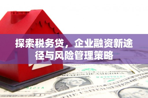 大溪探索税务贷，企业融资新途径与风险管理策略