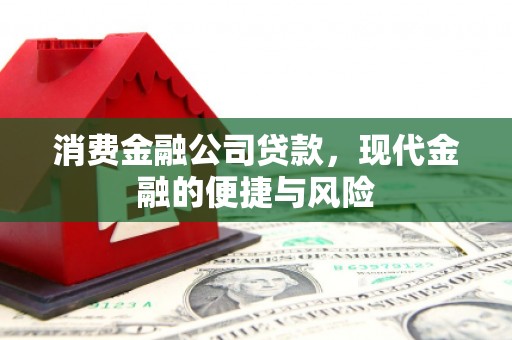 大溪消费金融公司贷款，现代金融的便捷与风险