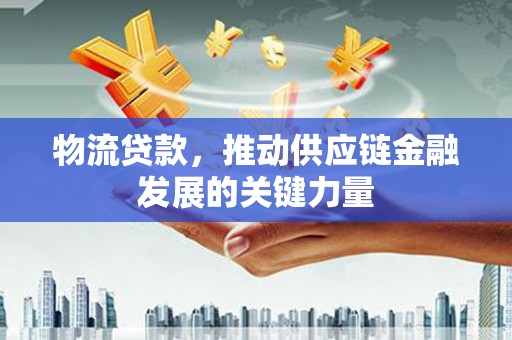 大溪物流贷款，推动供应链金融发展的关键力量