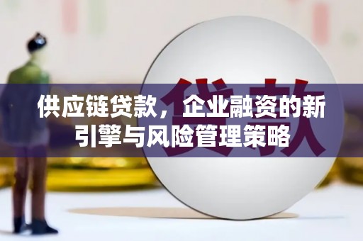 大溪供应链贷款，企业融资的新引擎与风险管理策略
