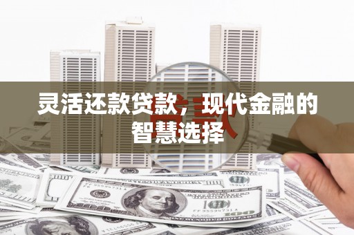 大溪灵活还款贷款，现代金融的智慧选择
