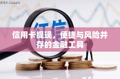 大溪信用卡提现，便捷与风险并存的金融工具