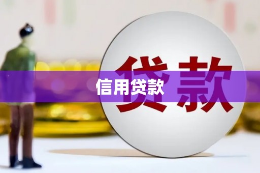 大溪信用贷款