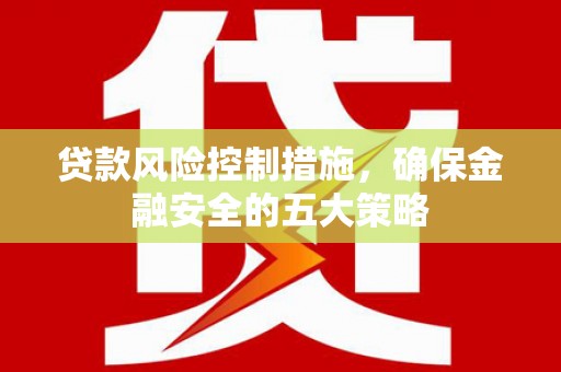 大溪贷款风险控制措施，确保金融安全的五大策略