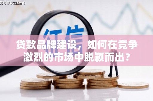 大溪贷款品牌建设，如何在竞争激烈的市场中脱颖而出？