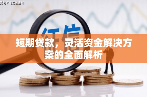 大溪短期贷款，灵活资金解决方案的全面解析