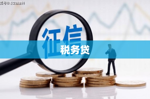 大溪税务贷