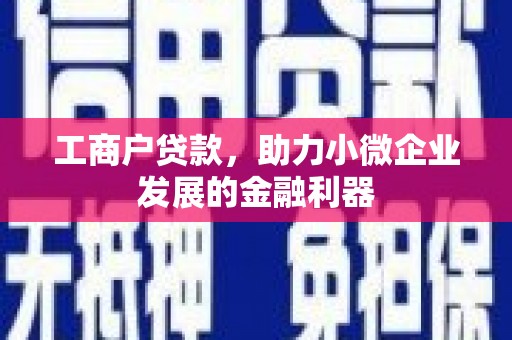 大溪工商户贷款，助力小微企业发展的金融利器