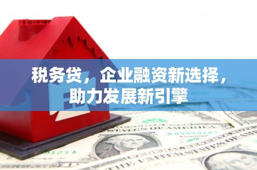 大溪税务贷，企业融资新选择，助力发展新引擎