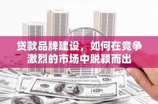 大溪贷款品牌建设，如何在竞争激烈的市场中脱颖而出