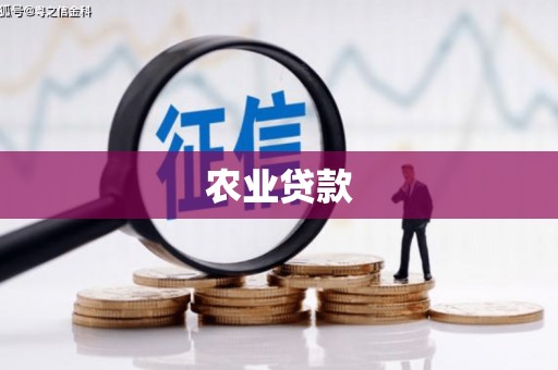 大溪农业贷款