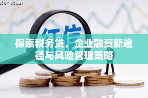 大溪探索税务贷，企业融资新途径与风险管理策略