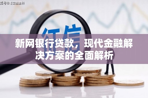大溪新网银行贷款，现代金融解决方案的全面解析