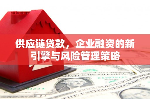 大溪供应链贷款，企业融资的新引擎与风险管理策略