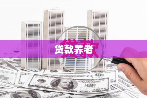 大溪贷款养老