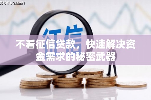 大溪不看征信贷款，快速解决资金需求的秘密武器