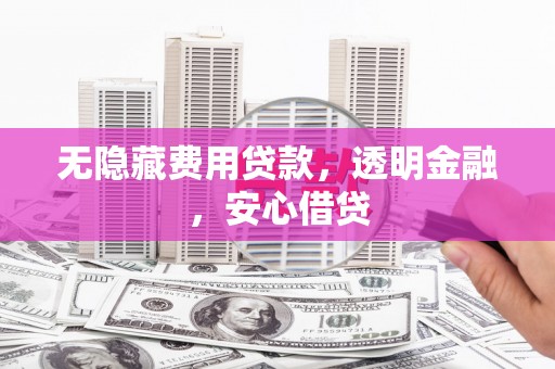 大溪无隐藏费用贷款，透明金融，安心借贷