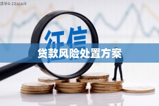 大溪贷款风险处置方案