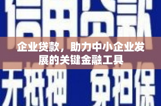 大溪企业贷款，助力中小企业发展的关键金融工具
