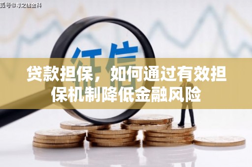 大溪贷款担保，如何通过有效担保机制降低金融风险