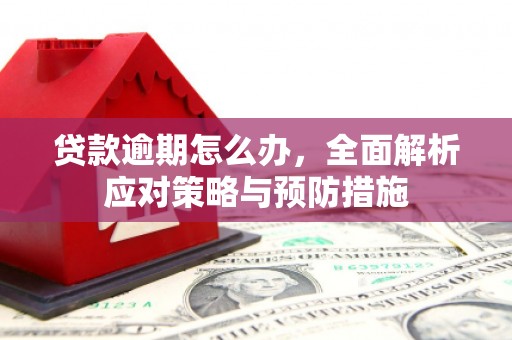 大溪贷款逾期怎么办，全面解析应对策略与预防措施