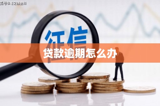 大溪贷款逾期怎么办
