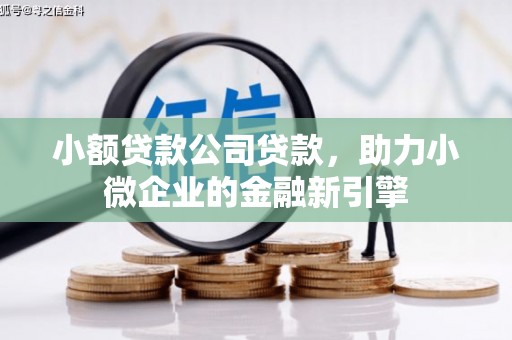 大溪小额贷款公司贷款，助力小微企业的金融新引擎