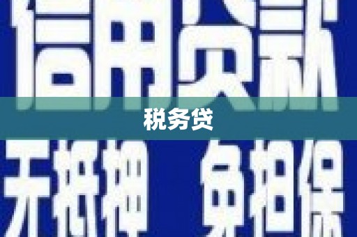 大溪税务贷