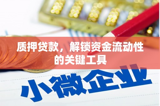 大溪质押贷款，解锁资金流动性的关键工具