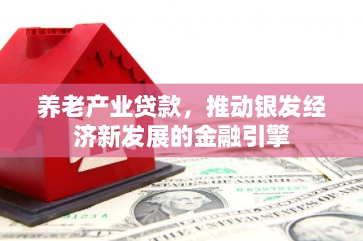 大溪养老产业贷款，推动银发经济新发展的金融引擎