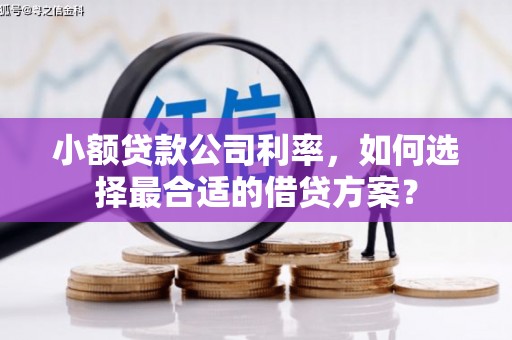 大溪小额贷款公司利率，如何选择最合适的借贷方案？